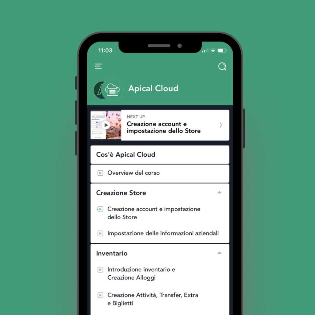 Assistenza Apical cloud