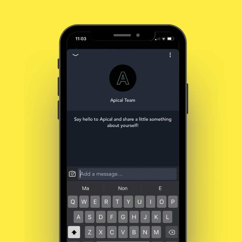 Assistenza Apical cloud